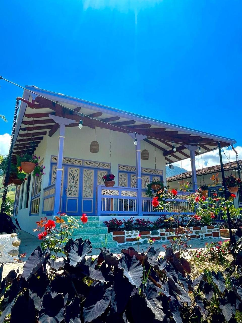 Hotel Lago Valdivia Jardín Εξωτερικό φωτογραφία