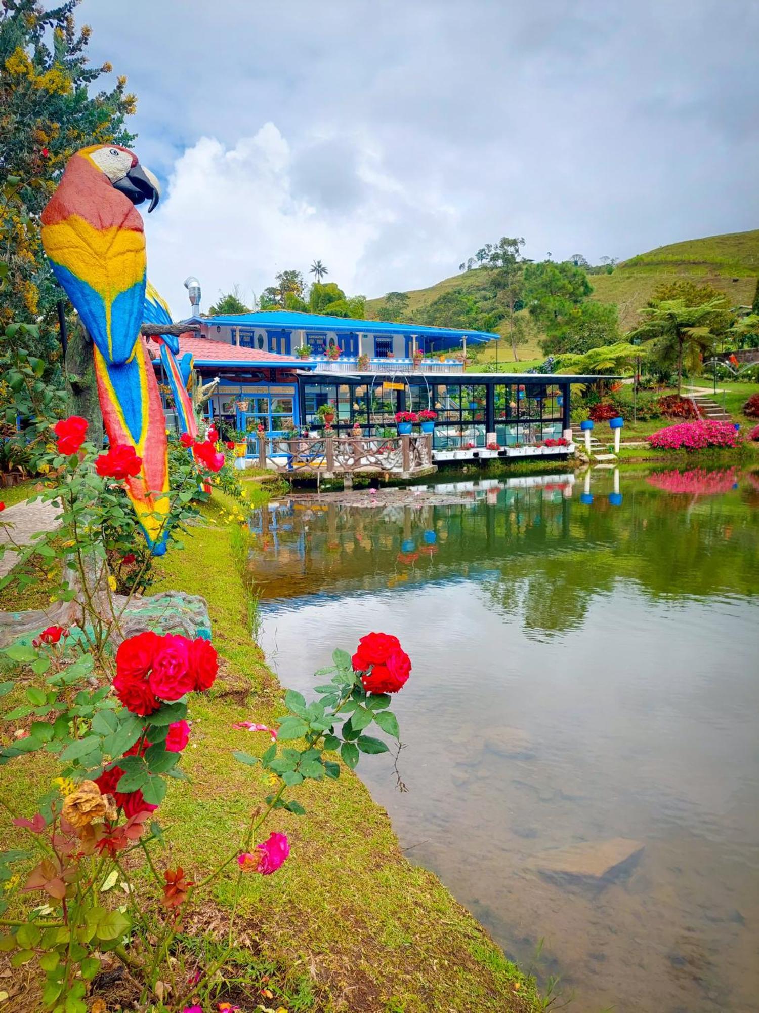 Hotel Lago Valdivia Jardín Εξωτερικό φωτογραφία