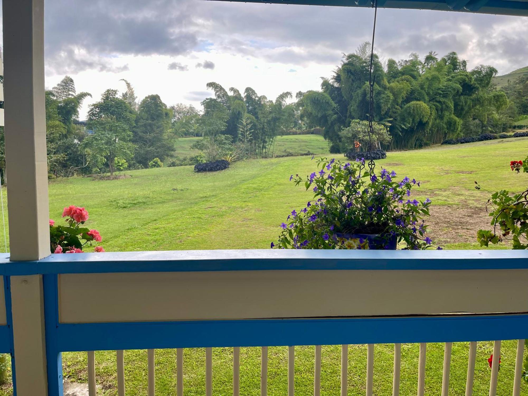 Hotel Lago Valdivia Jardín Δωμάτιο φωτογραφία